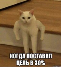  когда поставил цель в 30%