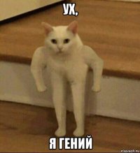 ух, я гений