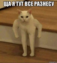 ща я тут все разнесу 