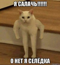 я салачь!!!!!! о нет я селёдка