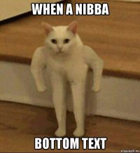 when a nibba bottom text