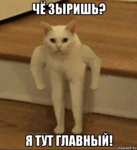 чё зыришь? я тут главный!