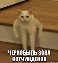  чернобыль зона котчуждения