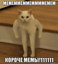 мемеммеммеммммемем короче мемы!111111