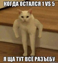 когда остался 1 vs 5 я ща тут всё разъебу