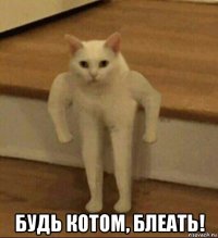  будь котом, блеать!