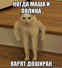 когда маша и полина варят доширак