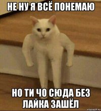 не ну я всё понемаю но ти чо сюда без лайка зашёл