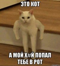 это кот а мой х#й попал тебе в рот