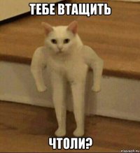 тебе втащить чтоли?