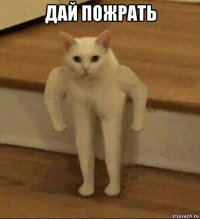 дай пожрать 