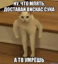 ну, что млять, доставай вискас сука а то умрёшь