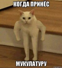 когда принёс мукулатуру