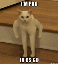 i'm pro in cs go