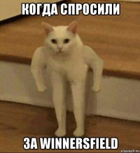 когда спросили за winnersfield