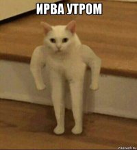 ирва утром 