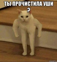 ты прочистила уши ? 