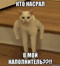 кто насрал в мой наполнитель??!!