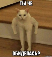 ты че обиделась?