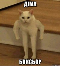 діма боксьор