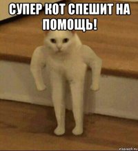 супер кот спешит на помощь! 