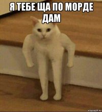 я тебе ща по морде дам 