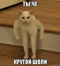 ты чё крутой шоли