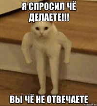 я спросил чё делаете!!! вы чё не отвечаете