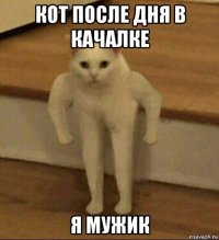 кот после дня в качалке я мужик