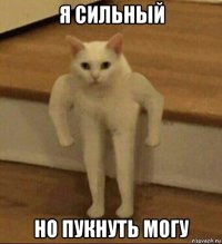 я сильный но пукнуть могу