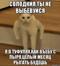 солодкия,ты не выбёвуйся я в туфулях,как въебу с пыря,целый месяц рыгать будешь