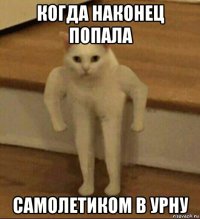 когда наконец попала самолетиком в урну