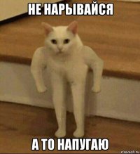 не нарывайся а то напугаю