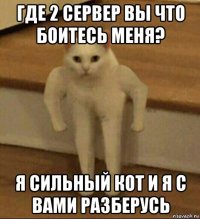 где 2 сервер вы что боитесь меня? я сильный кот и я с вами разберусь