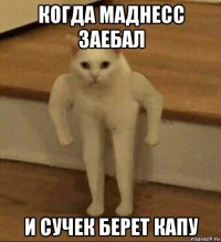 когда маднесс заебал и сучек берет капу