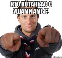 кто котакбас с ушами амы? 