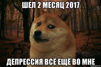 шел 2 месяц 2017 депрессия всё ещё во мне