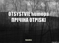 OTSYSTVIE humopa ПPIЧIHA OTPISKI