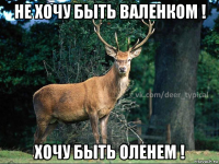 не хочу быть валенком ! хочу быть оленем !