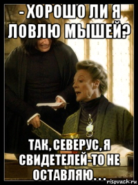 - хорошо ли я ловлю мышей? так, северус, я свидетелей-то не оставляю. . .