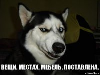 вещи. местах. мебель. поставлена.