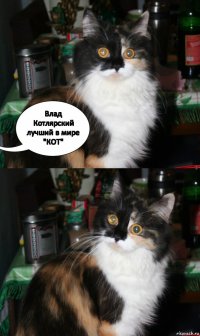 Влад Котлярский
лучший в мире "КОТ"