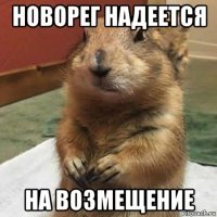 новорег надеется на возмещение