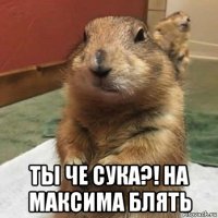  ты че сука?! на максима блять