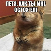 петя, как ты мне остох*ел! 