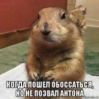  когда пошел обоссаться, но не позвал антона