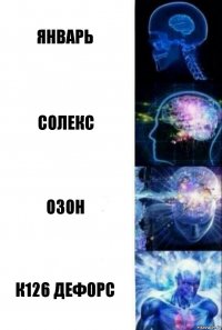 ЯНВАРЬ Солекс ОЗОН к126 дефорс