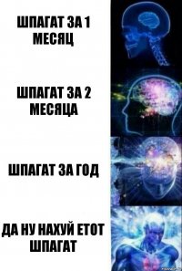 Шпагат за 1 месяц Шпагат за 2 месяца Шпагат за год Да ну нахуй етот шпагат