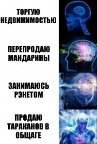 Торгую недвижимостью Перепродаю мандарины Занимаюсь рэкетом Продаю тараканов в общаге