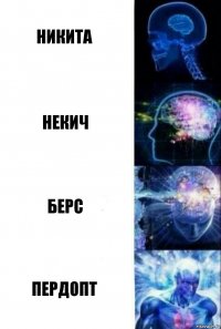 Никита Некич берс ПЕРДОПТ